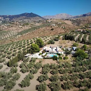 Amorosa Bed and breakfast